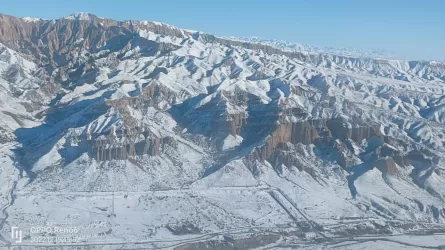 Проведено аэровизуальное обследование горного массива Жетысу-Алатау