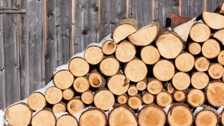 Талоны на дрова начали выдавать французам – СМИ 