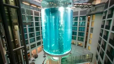 В берлинском отеле разбился 16-метровый аквариум
