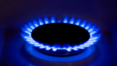 Евросоюз может столкнуться с нехваткой газа в следующем году - МЭА