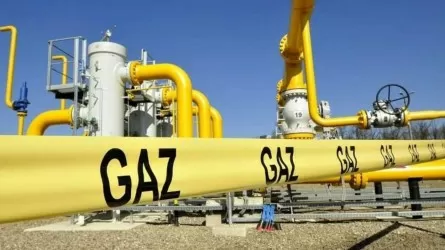 Өзбекстанда газ тапшылығына қатысы бар деген күдікпен бірқатар басшы қамауға алынды 