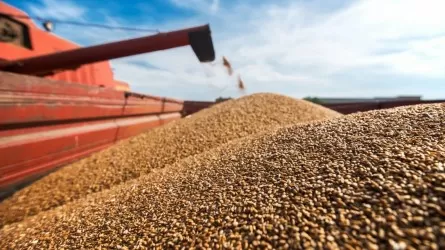Российские производители зерна предлагают не вводить дисконт на экспортную пошлину на бирже