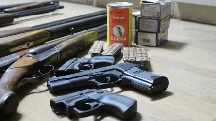В Павлодарской области с начала года было добровольно сдано 77 единиц оружия