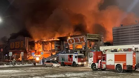 Пожар в ТЦ "Мега Химки": появилась информация о погибших 