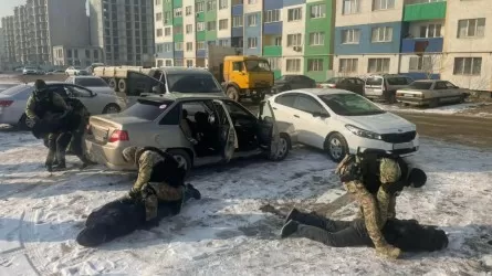 Спецназ полиции обезвредил банду домушников в Алматы