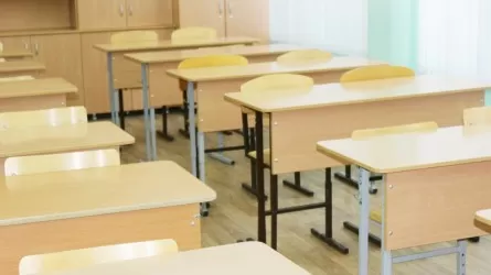 Ученики начальных классов в Астане 23 декабря будут учиться дистанционно 
