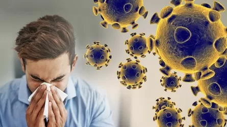 Почему больные коронавирусом надолго теряют обоняние?