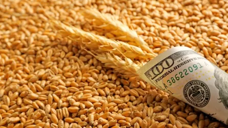 В США повысили прогноз экспорта пшеницы из РФ до 43 млн тонн