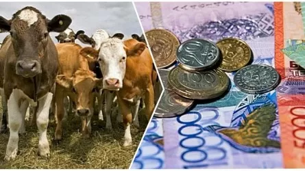 Казахстанские фермеры теперь могут оформить субсидии онлайн
