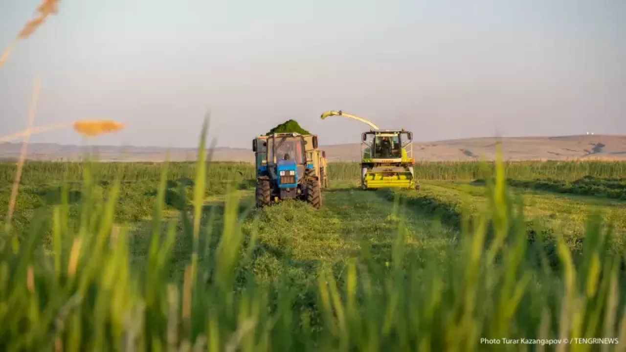 Предлагаемые субсидии добьют сельское хозяйство в Казахстане — эксперт