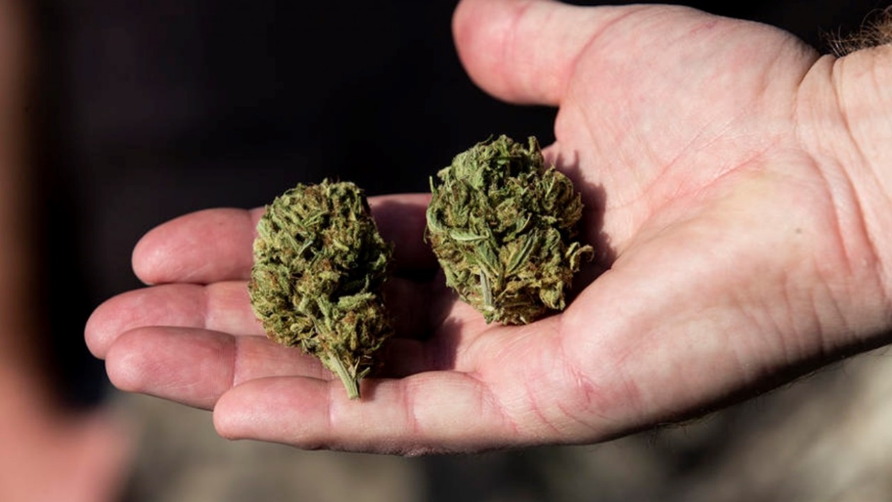 9 кг марихуаны изъяли у наркосбытчика актюбинские полицейские  
