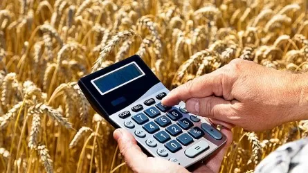 Зарплаты в сфере сельского хозяйства почти на 40% ниже, чем в среднем по РК