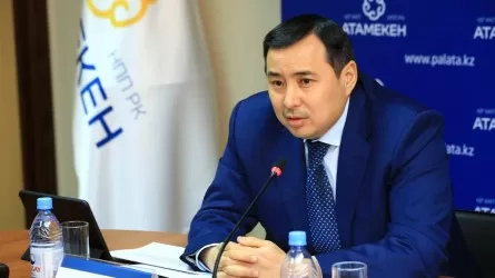 Аблай Мырзахметов сложил полномочия председателя правления НПП "Атамекен" 