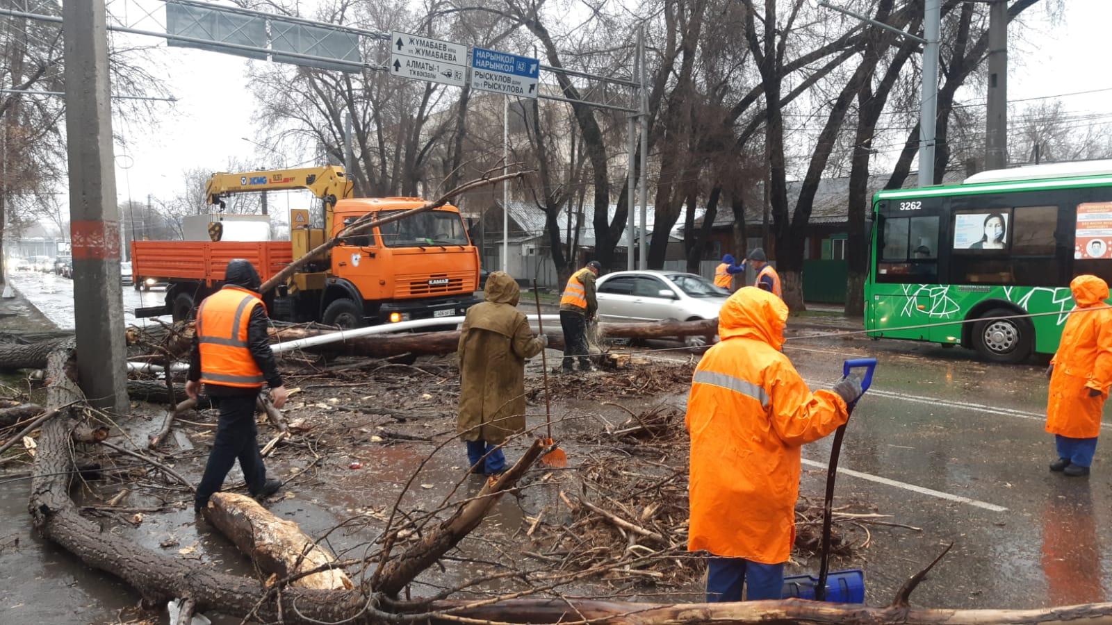 В Алматы из-за падения деревьев пострадало более 20 машин 