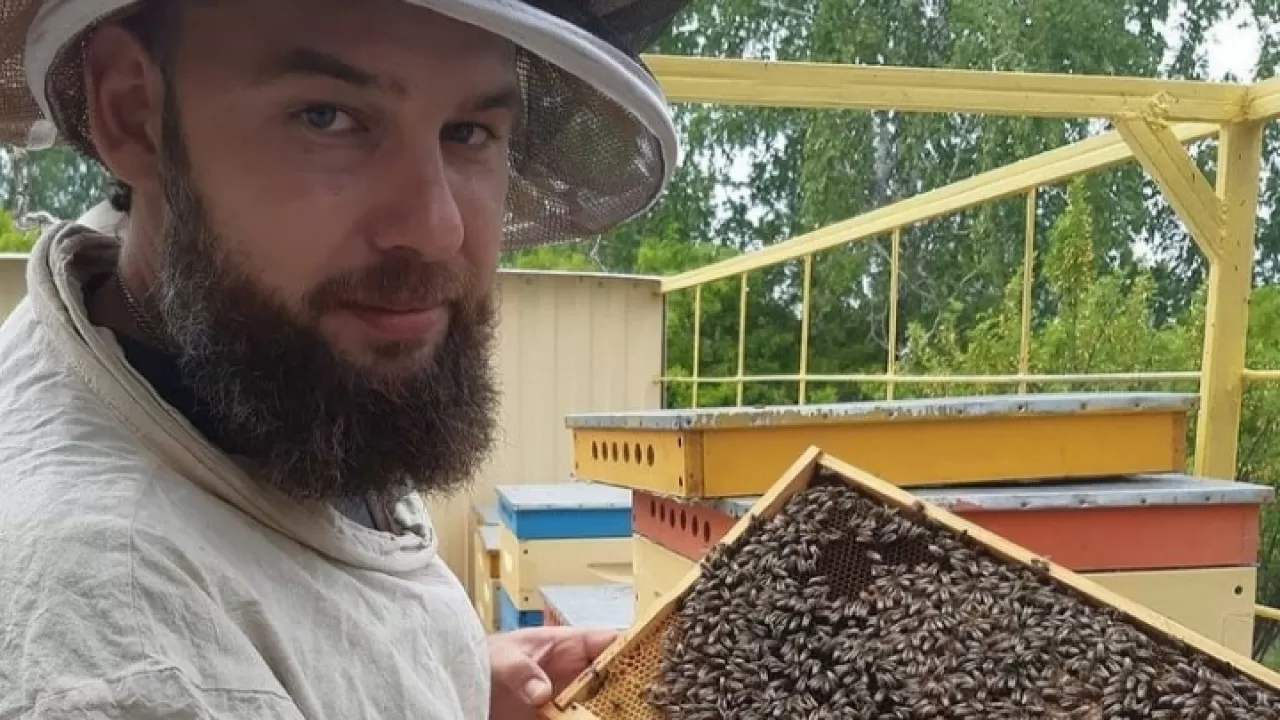 Пчеловодству Казахстана нужна перезагрузка