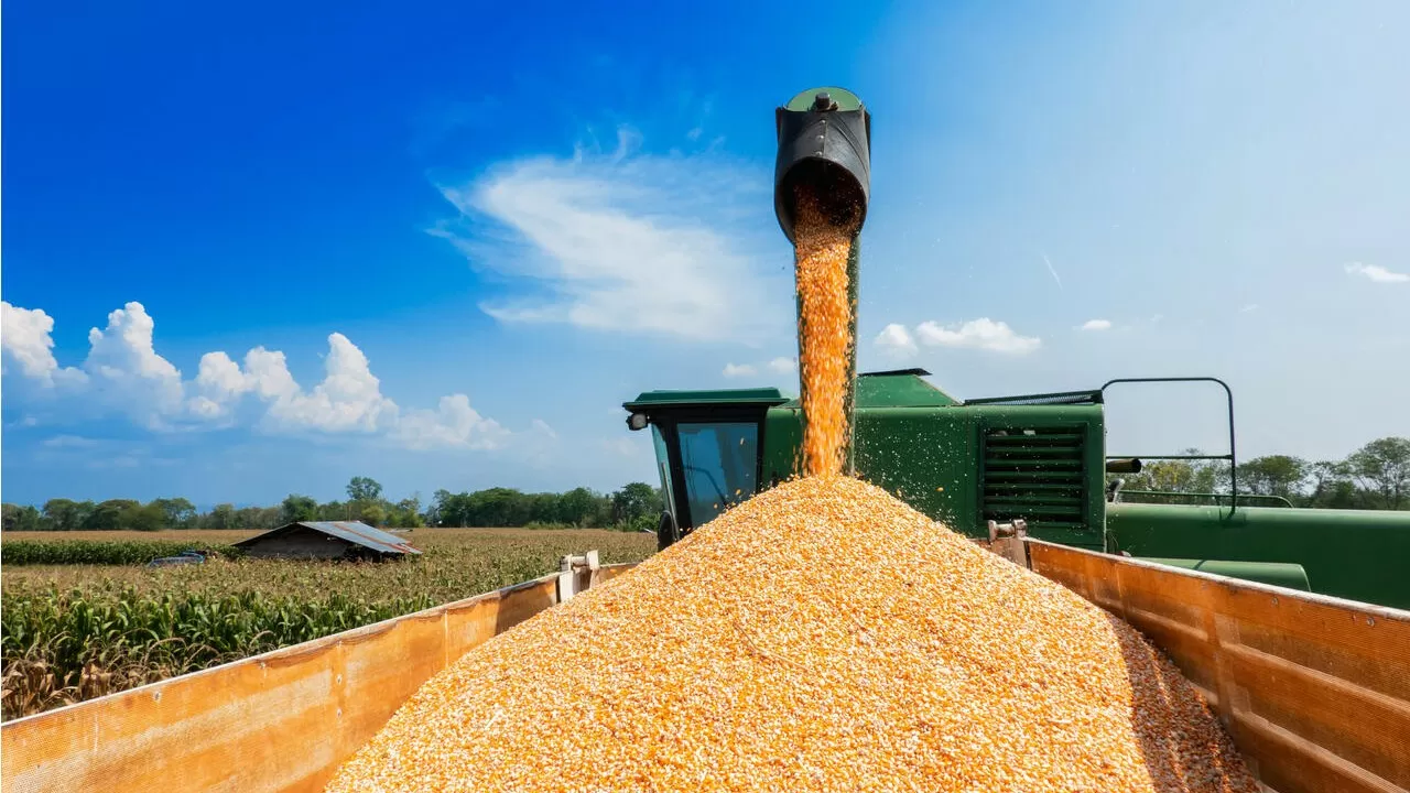Казахстан потерял долю в экспорте зерна из-за конфликта России с Украиной