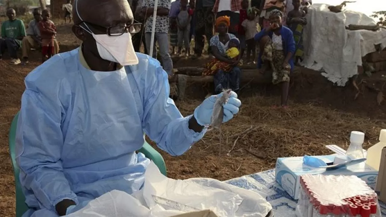 В Нигерии за неполные три месяца от лихорадки Ласса умерли 112 человек