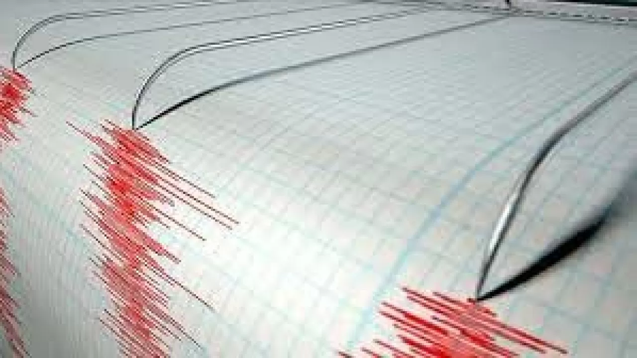 На юге Ирана произошло землетрясение магнитудой 4,8