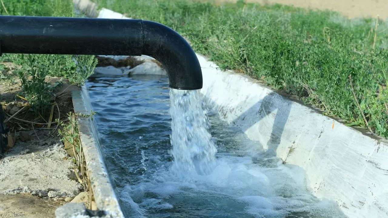 Мажилисмены обратили внимание на дефицит поливной воды в ВКО