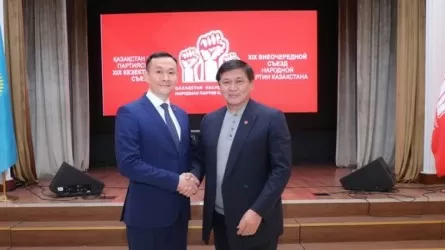 Ермухамет Ертысбаев возглавил Народную партию Казахстана
