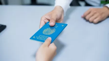 Россияне стали больше интересоваться получением казахстанского гражданства?