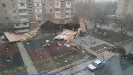 Срывало крыши, падали деревья – названы последствия урагана в Талдыкоргане