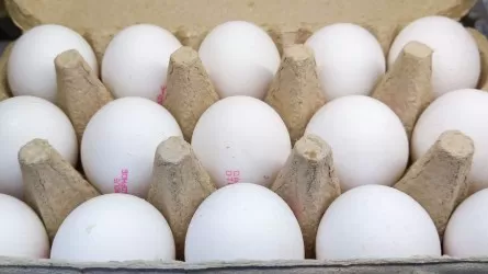Будет ли дефицит яиц в Казахстане?