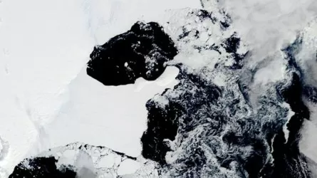 Антарктидада аумағы Лос-Анджелеске тең алып мұздық опырылды