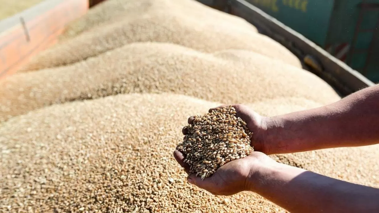 В минсельхозе сообщили о возможном ограничении экспорта зерна