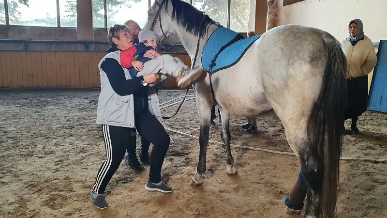 В Шымкенте конная школа олимпийского резерва остается без крытого манежа