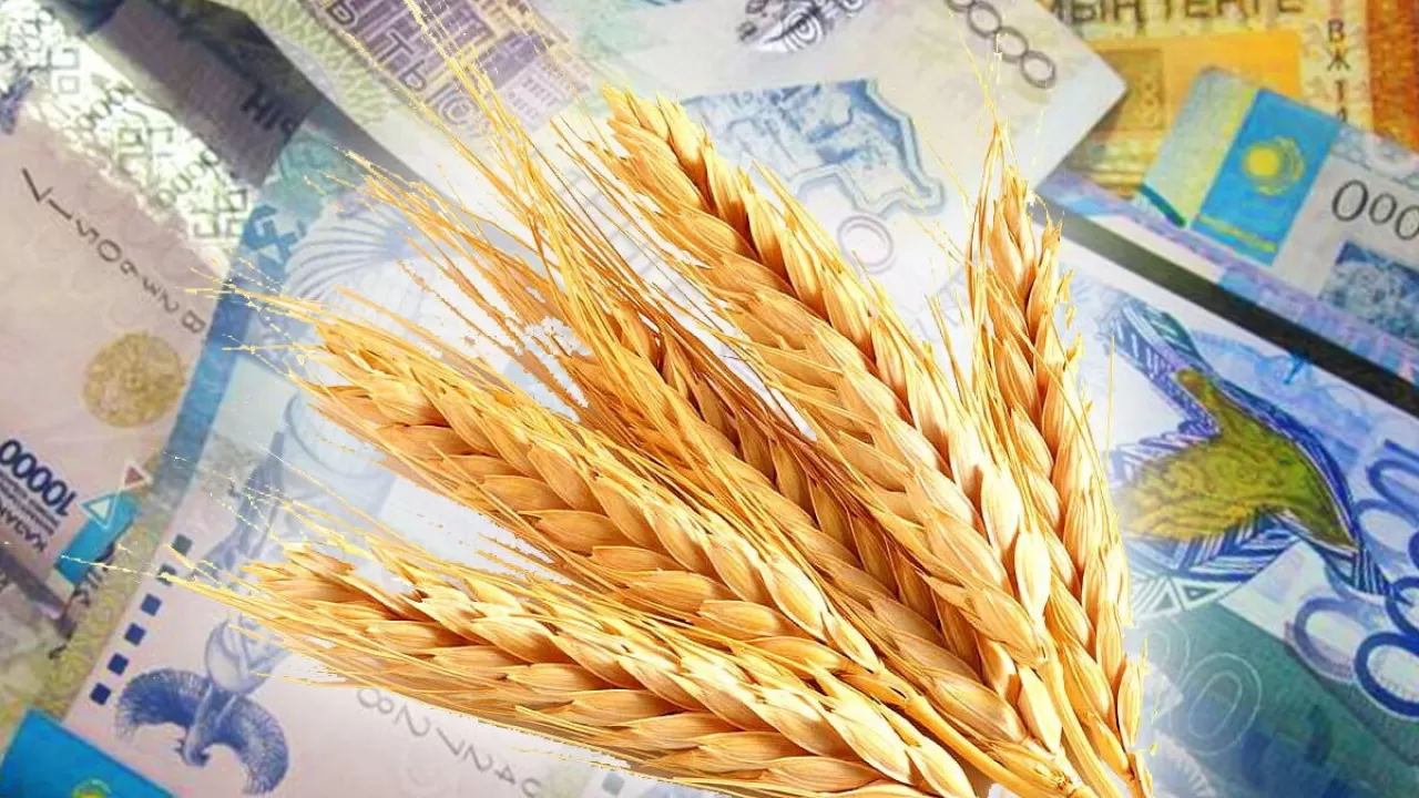 Многомиллиардные субсидии АПК в Казахстане не возвращаются высокой урожайностью