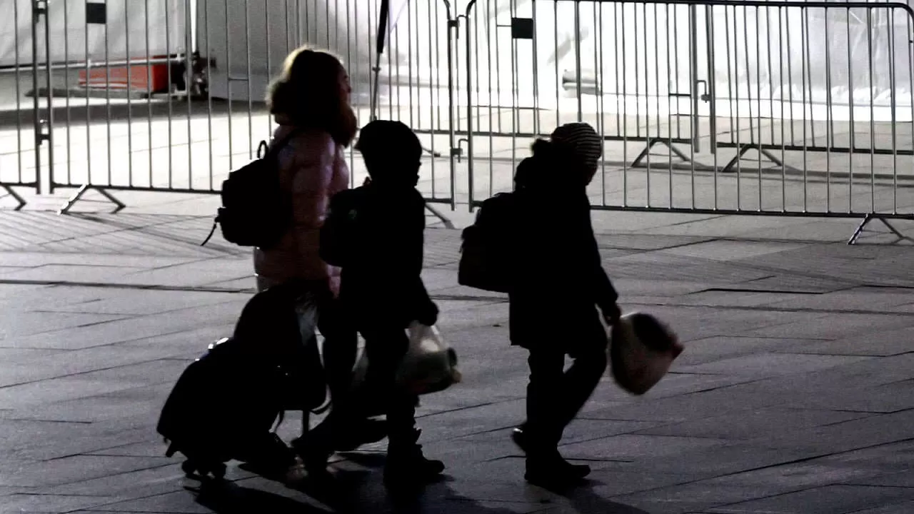 Франция выделила 70 тыс. украинских беженцев по €426 в месяц