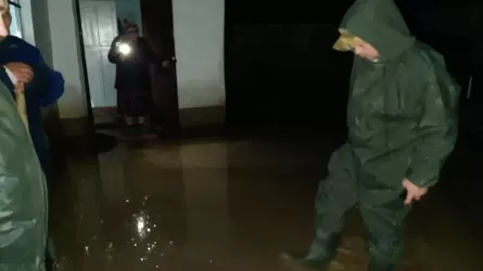 Создана комиссия по ликвидации наводнения в Туркестанской области