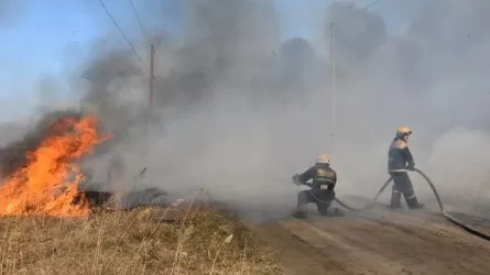 Огонь с горящего камыша перешел на нефтебазу в Петропавловске
