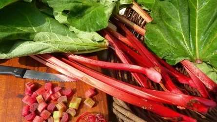 Самый полезный продукт в мире назвала врач-кардиолог 