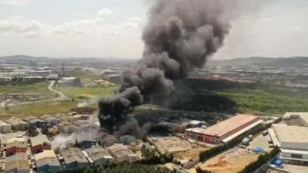 Взрыв произошел на лакокрасочном заводе Стамбула
