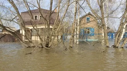 В Павлодарской области талая вода топит частные дома