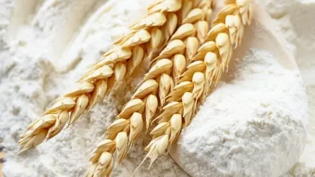 В Казахстане введут запрет на экспорт муки и зерна