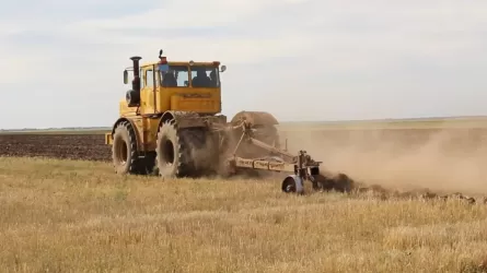 Введены ограничения на экспорт зерна и муки из Казахстана