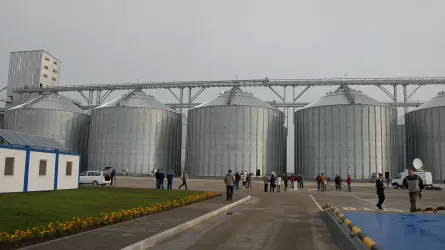 Мельницы в Казахстане приостанавливают работу из-за нехватки зерна