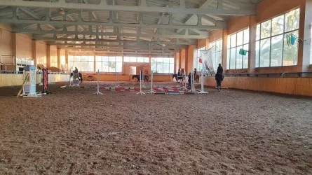 В Шымкенте без конных тренировок могут остаться спортсмены и дети с особенностями развития