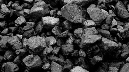 Стало известно, на сколько вырос экспорт казахстанского угля 