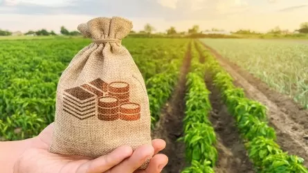 Ассоциация фермеров: Создание агробанка решит проблемы кредитования фермеров