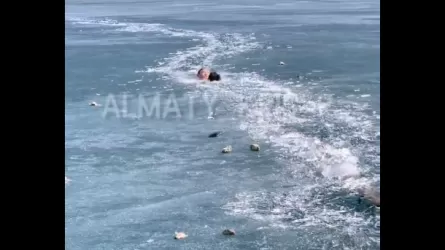 Парень кинулся в Кольсайское озеро за уходившей под лед собакой - видео