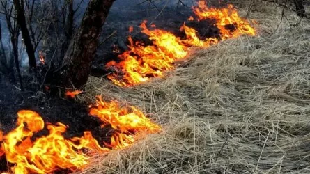 В Казахстане начался пожароопасный период