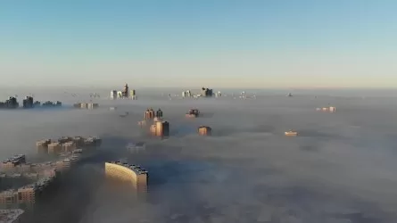 В минэкологии объяснили густой смог в столице