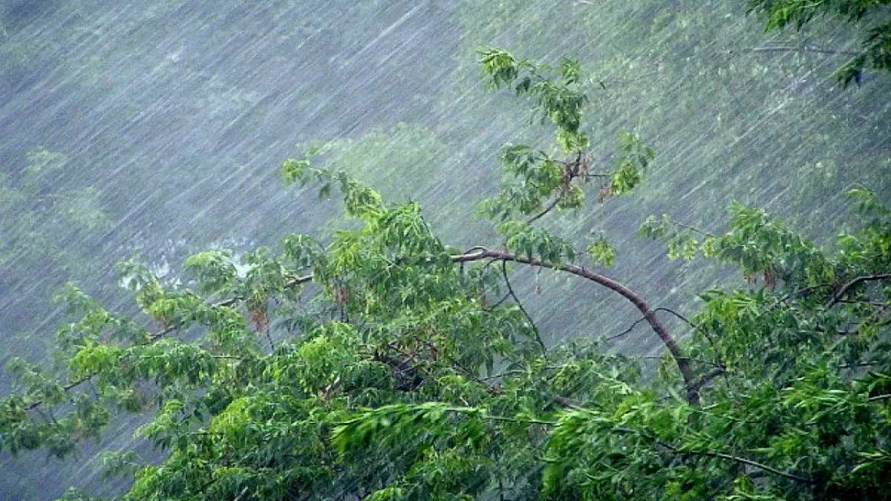 Дожди, грозы и сильный ветер – погода в РК 10 мая | Inbusiness.kz