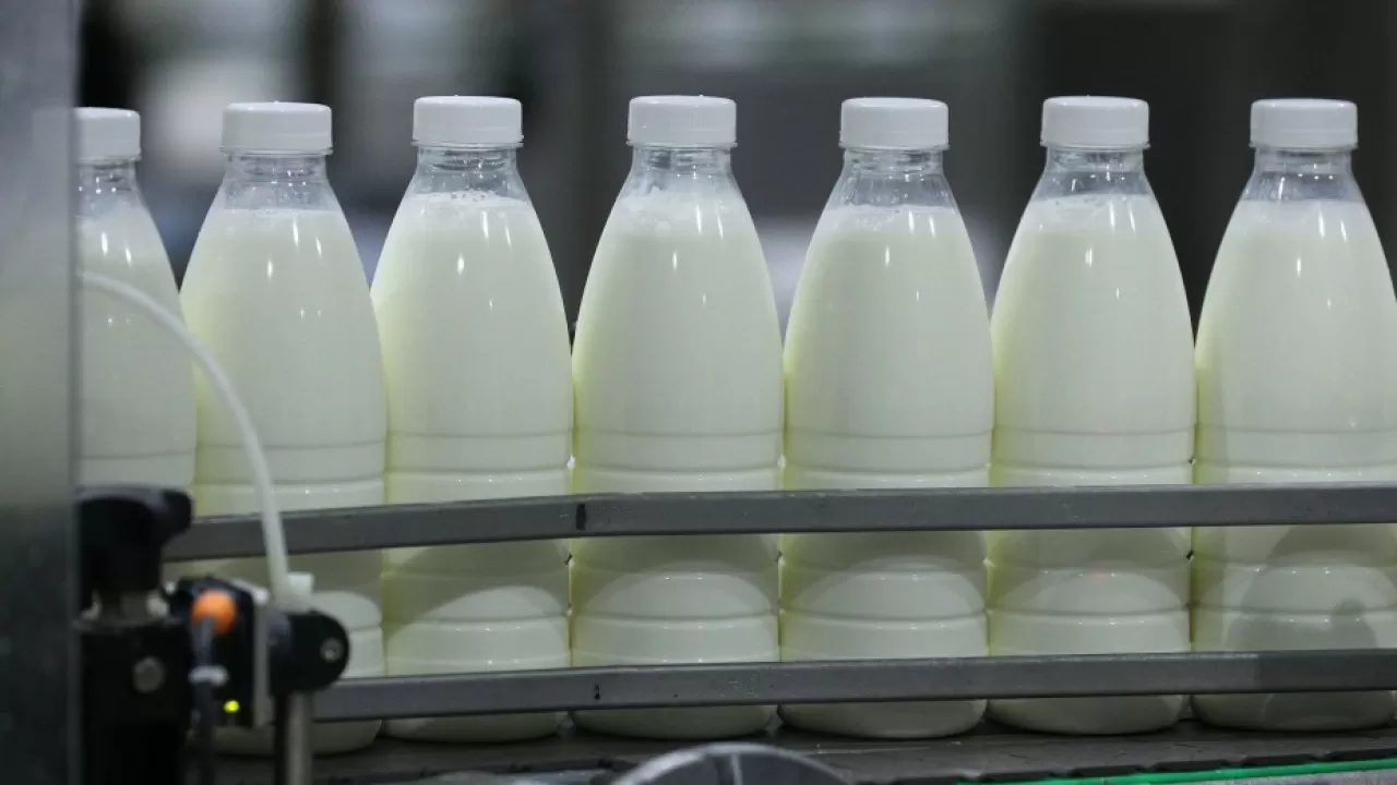 Управление сельского хозяйства обещает увеличить цену закупа молока у селян 
