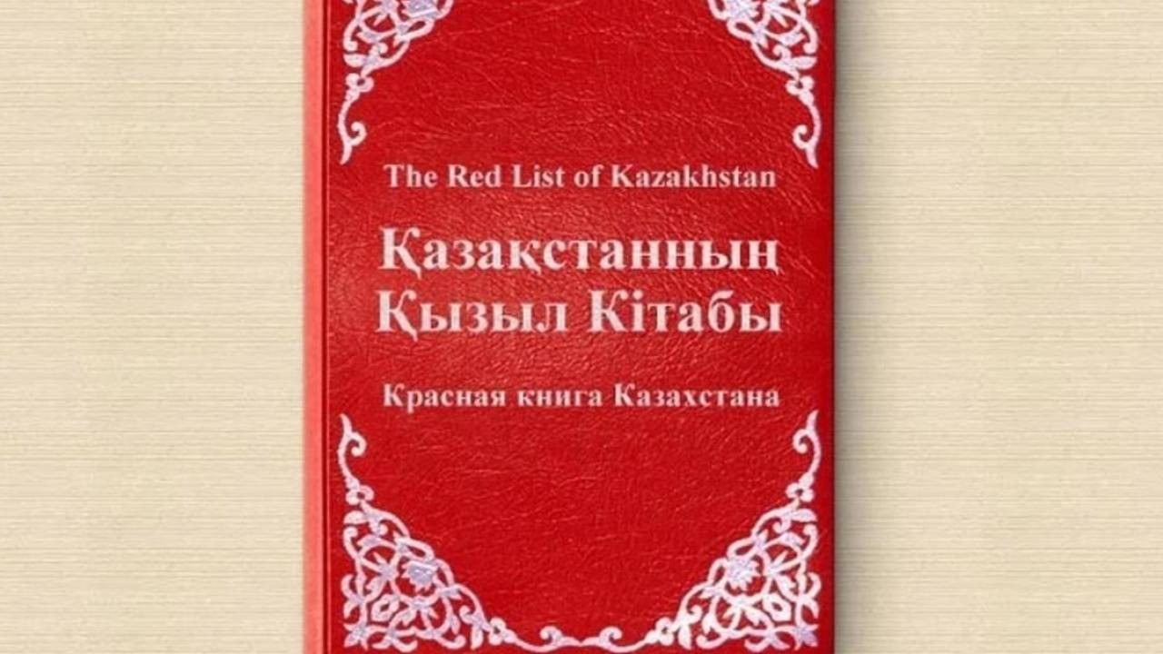 Казахстан на четыре года затянул обновление Красной книги | Inbusiness.kz