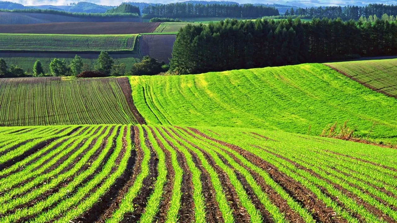 Неиспользуемые сельхозземли в Казахстане возвратят в собственность государства